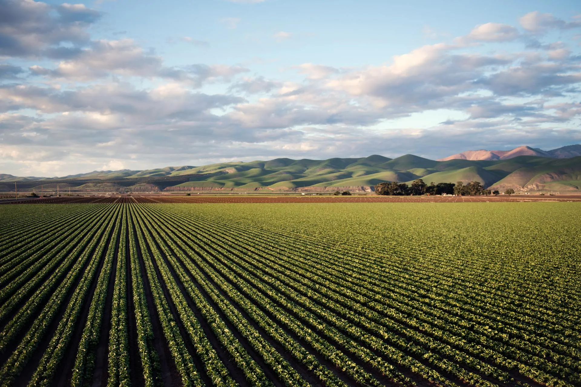 Building Resilience: Climate-Smart Farming