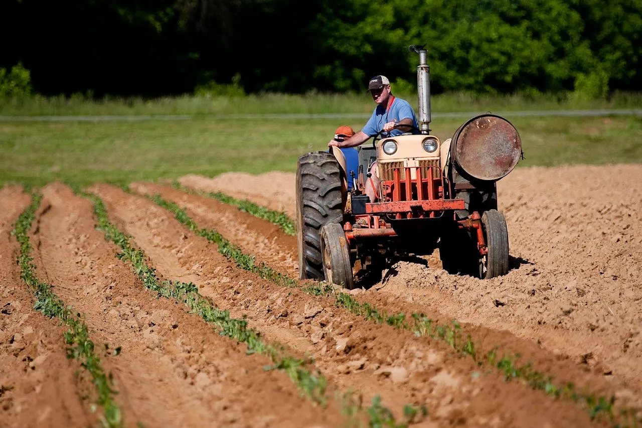 10 Innovations in Organic Farming in 2024