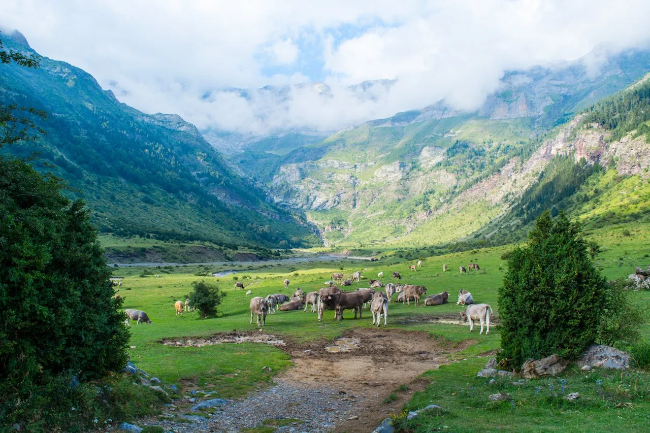 Nature’s Nutrient Cycle: Unlocking the Power of Recycling on the Farm